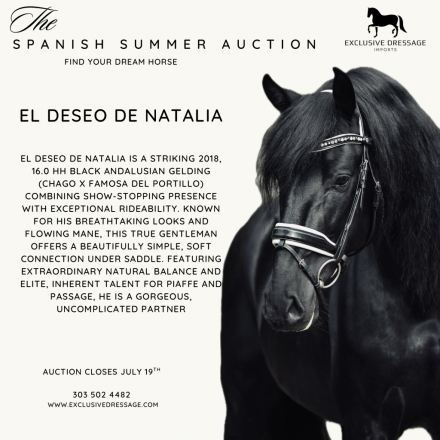 HorseID: 2315631 El Deseo De Natalia - PhotoID: 1101764