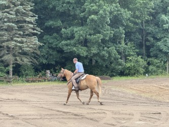 HorseID: 2315641 Montana - PhotoID: 1101775