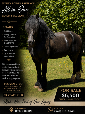HorseID: 2315650 Zeus - PhotoID: 1102048