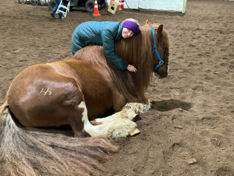 HorseID: 2315651 McIntosh Red - PhotoID: 1101813