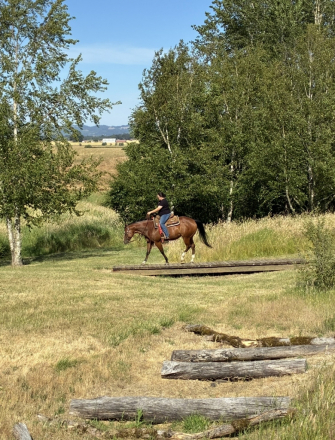 HorseID: 2315660 Virtually Amazing - PhotoID: 1101824