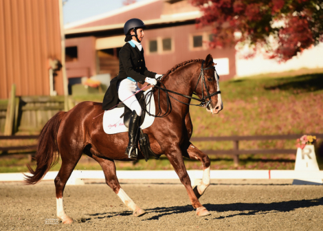 HorseID: 2315675 Tucker's Flashy Fireball - PhotoID: 1101851