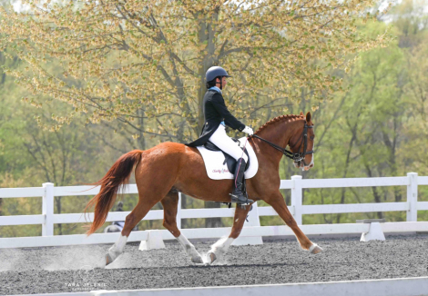 HorseID: 2315675 Tucker's Flashy Fireball - PhotoID: 1101852