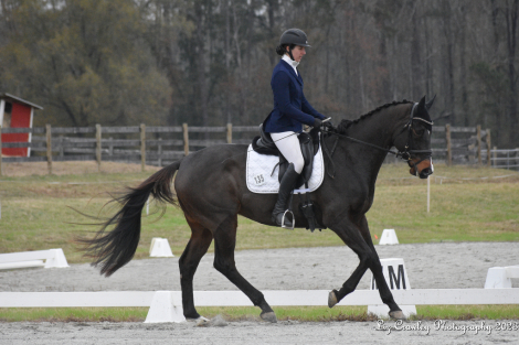 HorseID: 2315692 Holy Redeemer - PhotoID: 1101861