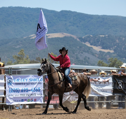HorseID: 2315696 Billy Badass - PhotoID: 1101867