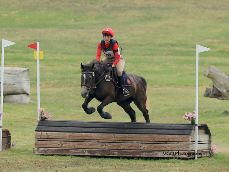HorseID: 2315696 Billy Badass - PhotoID: 1102565