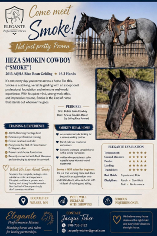 HorseID: 2315700 Heza Smokin Cowboy - PhotoID: 1101872