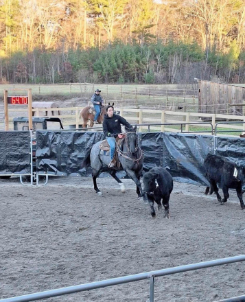 HorseID: 2315700 Heza Smokin Cowboy - PhotoID: 1101873