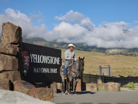 HorseID: 2315738 Blue Ridge Blanton - PhotoID: 1101928
