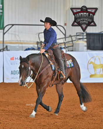 HorseID: 2315740 SPARKING MERCEDES - PhotoID: 1101936