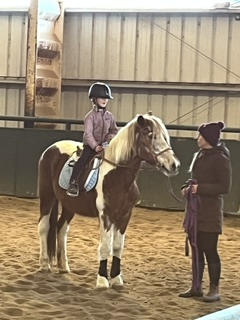 HorseID: 2315753 Misty - PhotoID: 1101960