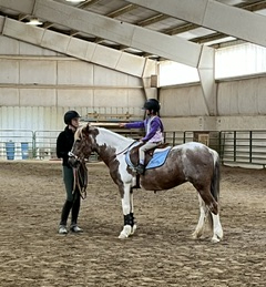 HorseID: 2315753 Misty - PhotoID: 1101961