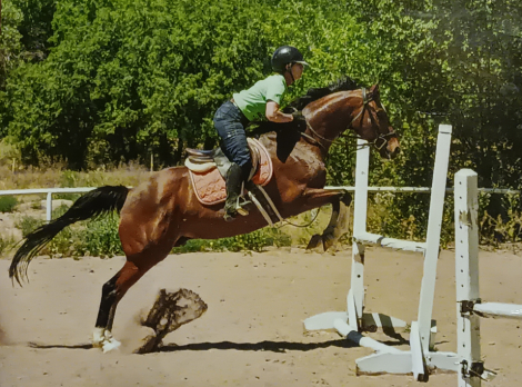 HorseID: 2315777 Ostentatious - PhotoID: 1101999
