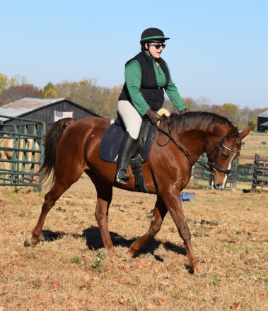 HorseID: 2315870 She Loves the Blues - PhotoID: 1102127