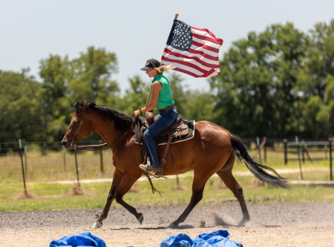 HorseID: 2315881 Sun Frosted Pistol - PhotoID: 1102156