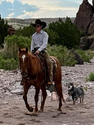 HorseID: 2315896 Happy - PhotoID: 1102167