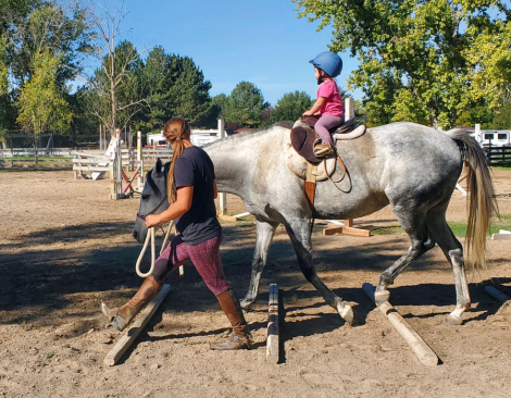 HorseID: 2315908 Gracie - PhotoID: 1102186