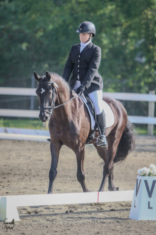 HorseID: 2315916 Powerstroke - PhotoID: 1102205