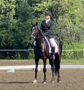 HorseID: 2315916 Powerstroke - PhotoID: 1102476