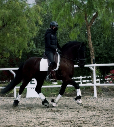HorseID: 2315934 Onix - PhotoID: 1102218