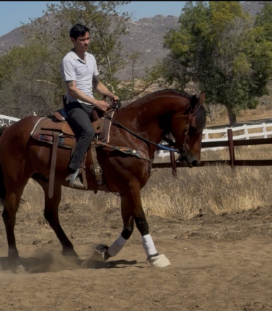 HorseID: 2315935 Charley - PhotoID: 1102220