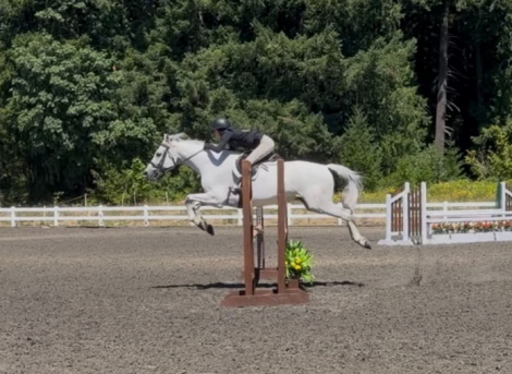 HorseID: 2315949 Eve - PhotoID: 1102231