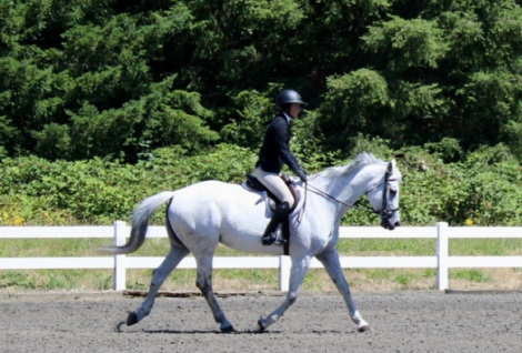 HorseID: 2315949 Eve - PhotoID: 1102232
