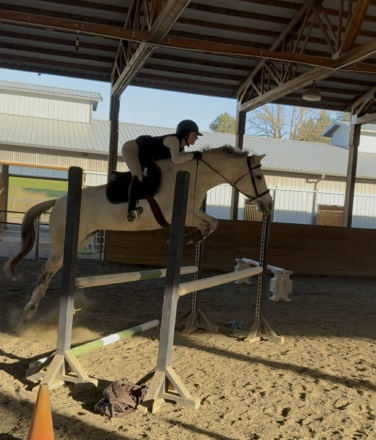 HorseID: 2315949 Eve - PhotoID: 1102233