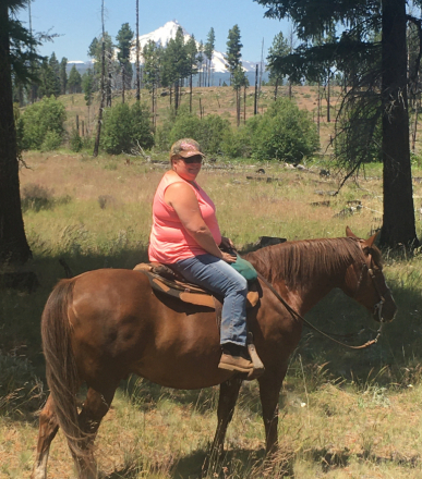 HorseID: 2315963 Buddy - PhotoID: 1102338