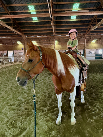 HorseID: 2315979 DSR MARYS KISSES - PhotoID: 1102248