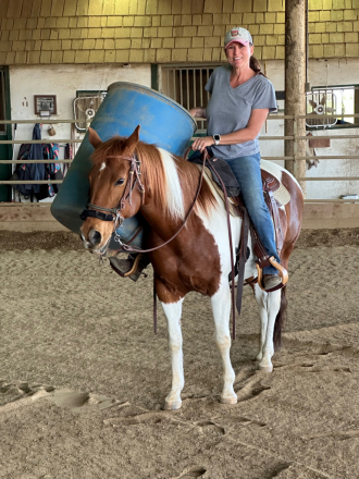 HorseID: 2315979 DSR MARYS KISSES - PhotoID: 1102250