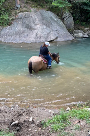 HorseID: 2316007 Kasey - PhotoID: 1102365
