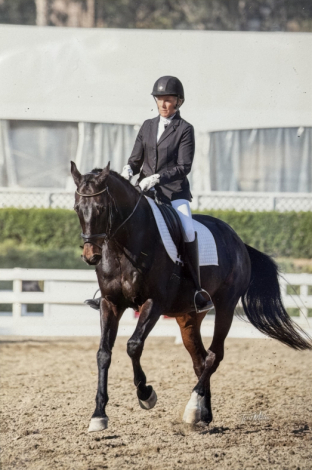 HorseID: 2316020 Brooklyn - PhotoID: 1102398