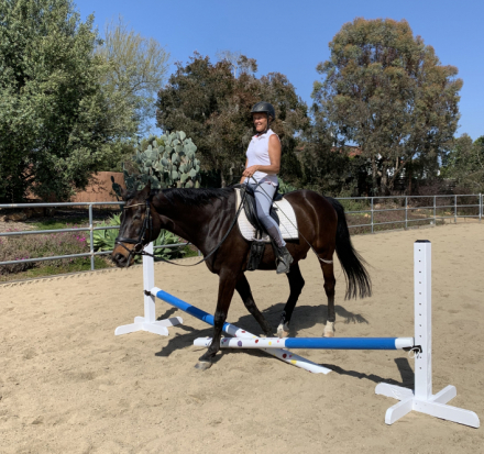 HorseID: 2316020 Brooklyn - PhotoID: 1102401