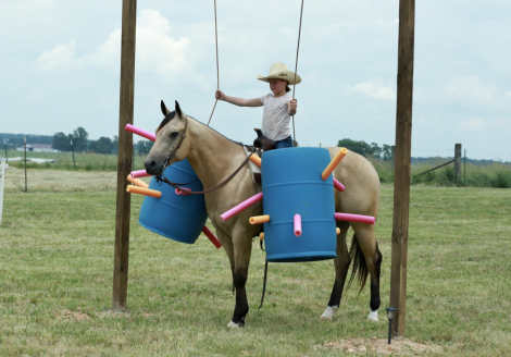 HorseID: 2316044 Knutsens Pour Me - PhotoID: 1102425