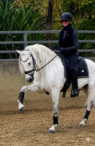 HorseID: 2316078 Simpatico - PhotoID: 1102323