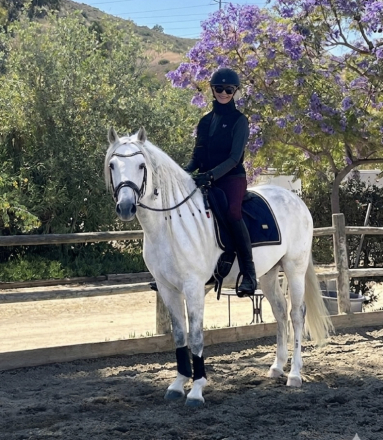 HorseID: 2316078 Simpatico - PhotoID: 1102325