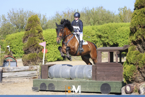 HorseID: 2316133 Farmhill Bucko - PhotoID: 1102545
