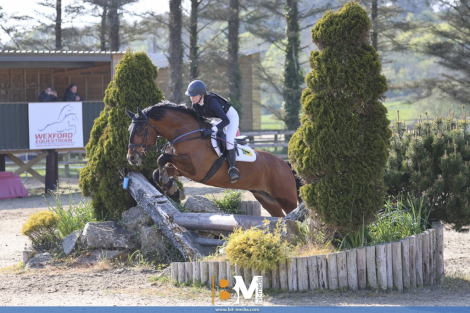 HorseID: 2316133 Farmhill Bucko - PhotoID: 1102547