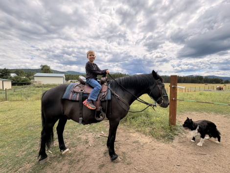 HorseID: 2316181 Moose - PhotoID: 1102581