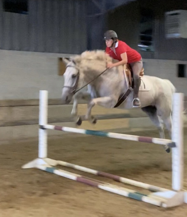HorseID: 2316189 Always Earnest - PhotoID: 1102607