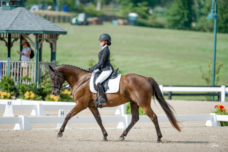 HorseID: 2316204 Valiant - PhotoID: 1102586
