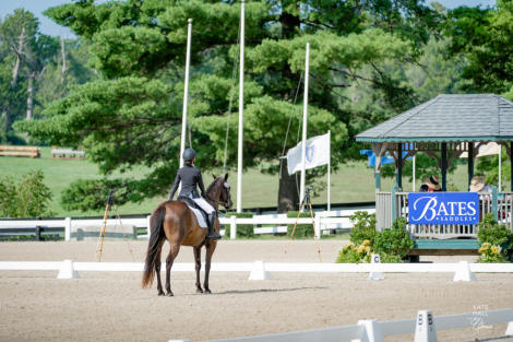 HorseID: 2316204 Valiant - PhotoID: 1102587