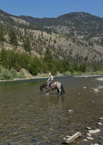 HorseID: 2316214 Freddie - PhotoID: 1102624