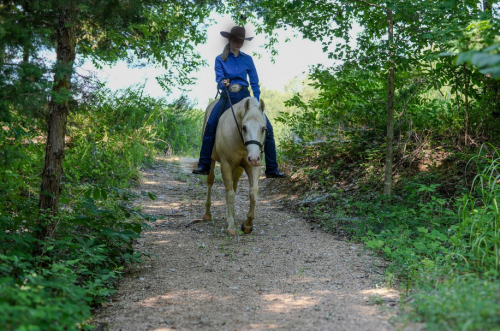 HorseID: 2316222 Incline to Shine - PhotoID: 1102596