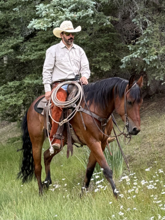 HorseID: 2316250 Dusty - PhotoID: 1102666