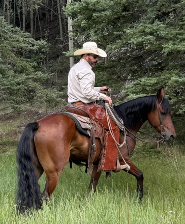 HorseID: 2316250 Dusty - PhotoID: 1102668