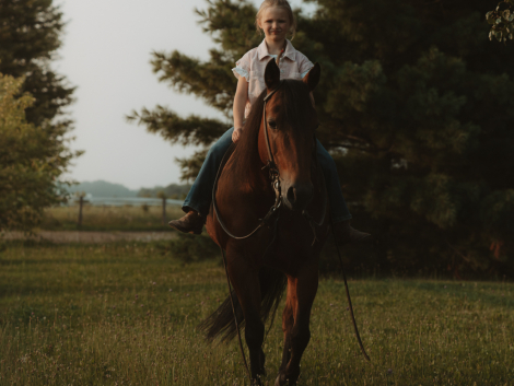 HorseID: 2316263 Double walla whiz - PhotoID: 1102665