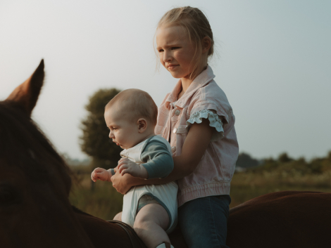 HorseID: 2316263 Double walla whiz - PhotoID: 1102805