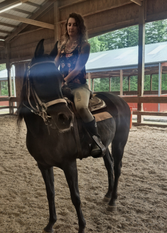 HorseID: 2316299 Lacey - PhotoID: 1102710